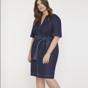 Eloquii Denim Dress